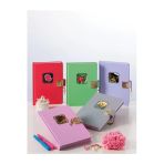 Hatıra Defteri Kilitli Kalp Seri 96 Yaprak 14X20 Cm 90 Gram Bhe0494 (Asorti)