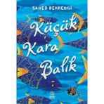 Hatıra Kutusu Küçük Kara Balık