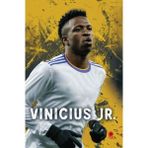 Hatıra Kutusu Vinicius Júnior (Poster Hediyeli)
