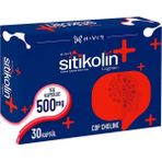 Haver Sitikolin 500 Mg 30 Kapsül CDP Choline İçeren Sporcu Besini Türkiye Menşeli - --