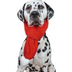 Havhav Havrika Yıllar Köpek Oyuncak Seti Köpek Atkısı S M L Hışırtılı Peluş Kurabiye Vikvikli Peluş Şeker
