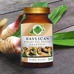 Havlıcan (Galangal) Toz Ekstresi 100 gr. Cam Kavanoz