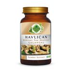 Havlıcan Toz Ekstresi 100 Gr. Cam Kavanoz