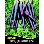 Havuç Tohumu Şalgamlık Siyah - 10 G (~ Takribi 4000 Tohum)