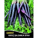 Havuç Tohumu Şalgamlık Siyah - 5 G (~ Takribi 2000 Tohum)