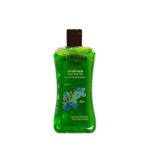 Hawaiian Tropic Aloe Vera E Vitamini Ve Tropik Bitkiler İçeren Güneş Sonrası Ferahlatıcı Ve Yenileyici