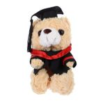HAWILLOSCH Dr. Ayı Bebek mezuniyet ayı bebek peluş ayı buketi mezuniyet peluş ayı Mezuniyet ayı bebeği Mezuniyet ayıcığı oyuncaklar parti mezuniyet ayı mezuniyet doldurulmuş ayı