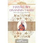 HAYALI BEY DİVANININ TAHLILI - CEMAL KURNAZ