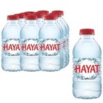 Hayat 0.33 ml Doğal Mineralli Su