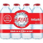 Hayat 500 ml Pet Şişe Su