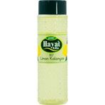 Hayat Alfa Limon Kolonyası 80°