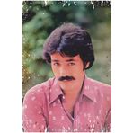 Hayat Poster arabesk müzik ferdi tayfur gençlik nostaljik tablo retro ahşap poster