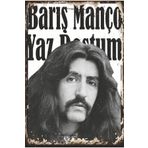 Hayat Poster Barış Manço Yaz Dostum Müzik Retro Ahşap Poster