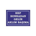 Hayat Poster hep sonradan gelir aklım başıma ahmet kaya komik atarlı sözler duvar yazıları retro ahşap poster