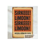 Hayat Poster yeşilçam replik sahne adil naşit münir özkul turşu suyu duvar yazıları retro ahşap poster tablo