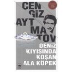 Hayat Store Deniz Kıyısında Koşan Ala Köpek