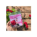 HayDün Küçük buket çiçek Hot love flowerse koleksiyon hediyelik sonsuzluk parçası dekor süs