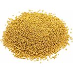 Hayfene 1 kg Sarı Hardal Tohumu