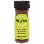Hayfene 40 gr Chili Limon Baharatı