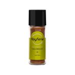 Hayfene 40 gr Kajun Baharatı