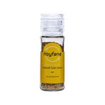 Hayfene 60 gr Sebzeli Tuzlu Çeşni