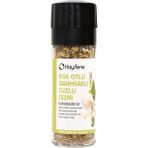 Hayfene Ege Otlu Sarımsaklı Baharatlı Tuzlu Çeşni 40 gr (Değirmen Kapaklı)