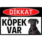 Hayg Equipment Fotoğraflı Dikkat Köpek Var Dekota Uyarı ve Yönlendirme Tabelası -Uv Baskılı Dekoratif Levha - Cane Corso - 28cm x 42cm
