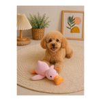 HAYHAYPETSHOP Hışırtılı Peluş Köpek Oyuncağı Ördek Model Yumuşak Sesli Diş Dostu Oyuncak (Dayanıklı & Eğlenceli)