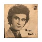 Hayri Şahin - Felek Saadetimi Elimden Aldı - Orijinal Dönem Baskı 45'lik Plak