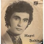 Hayri Şahin – Felek Saadetimi Elimden Aldı/gözlerim Yolda Kaldı Dönem 45LIK