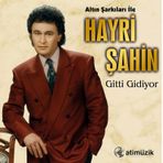 Hayri Şahin - Gitti Gidiyor - Plak