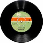 Hayri Şahin - Göz Yaşlarım Sevdim de Sevilmedim Plak (106.5) PLK20353