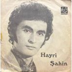 Hayri Şahin Köşelerde Gizlice 45LIK Plak