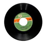 Hayri Şahin - Köşelerde Gizlice Artık Üstüme Varma Plak (106.5) PLK20340