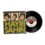 Hayri Şahin - Yalvarırım Dön Artık Seni Sevdim Diye Mi Plak (108) PLK21022