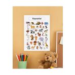 Hayvanlar Çocuk Türkçe Eğitim Tekli Pvc Poster 21x30 cm