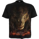 HBO - Game of Thrones - Dragon Throne - Front Print T-Shirt Black, Siyah, L