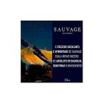 Hd Group Christian Dior Sauvage Edp 100 ml Erkek Parfüm 1 Paket (1 x 100 Ml) - 01 - Beyaz