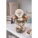 HD Marketim Kemer Temalı Deniz Kabuklu Dekoratif Biblo | El Yapımı Masa Üstü Ev & Ofis Dekoru (11x8 cm)