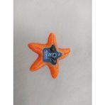 HD Marketim Turuncu Deniz Yıldızı Tasarım Epoksi Mıknatıslı Magnet Kemer Yazılı Buzdolabı Süsü Çok Renkli