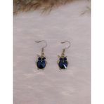 Hdmarketim Swarovski Siyah Taşlı Renkli Işıltılı Erkek Kuş Küpe
