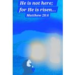 He is not here; for He is risen... Matthew 28:6 Journal