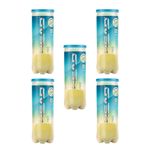 Head Pro 3x5'li 15 Adet Tenis Topu 571512