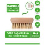 Healing Care %100 Doğal&vegan Kaktüs Kılı Tırnak Fırçası 1 Adet (SAKLAMA KESESİ İLE BİRLİKTE)