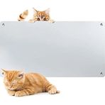 Heatart MG20 Curve Originals Beyaz Konvektör Isıtıcı Duvar Montajlı Güvenlik Termostatı Özellikli