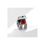 Hector&Co. Jewellery Gümüş Işıltılı Hediye Kutusu Charm