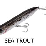 Heddon Lures Chug N Spook Su Üstü Sea Trout Suni Yem