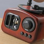 Hediye Bahçesi Gramofon Müzik Kutusu - Renkli - Belirtilmemiş