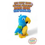 hediyecik Peluş Papağan Ses Kayıt Eden Hareketli Dans Eden Müzikli Oyuncak 20 Cm