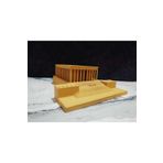 Hediyehanem Anıtkabir Maketi 3D 15.5 x 13.5 x 5 cm Dekor Biblo Heykel